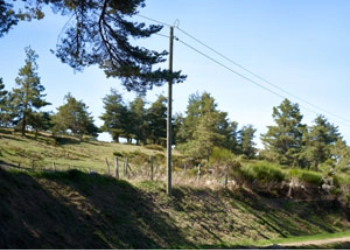 Poteaux Télécoms / électriques